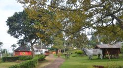 Lomba Lari 55 Km, Dua Ribu Pelari Siap Tempur