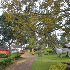 Lomba Lari 55 Km, Dua Ribu Pelari Siap Tempur