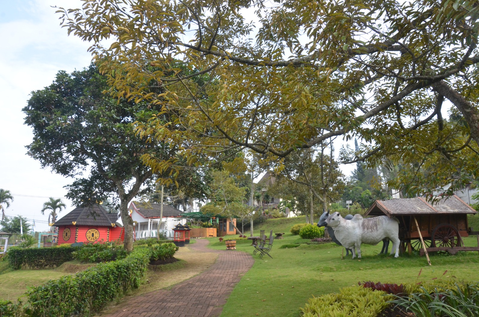 Lomba Lari 55 Km, Dua Ribu Pelari Siap Tempur