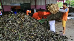 DLH Surabaya Hemat Rp6,73 Miliar/ Tahun dari Pengolahan Sampah Menjadi Kompos