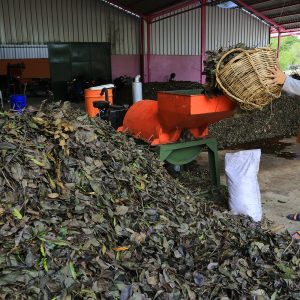 DLH Surabaya Hemat Rp6,73 Miliar/ Tahun dari Pengolahan Sampah Menjadi Kompos