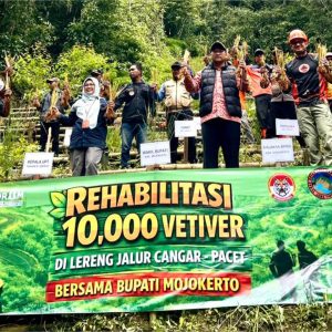Antisipasi Longsor  Jalur Wisata Tahura Cangar BPBD Kab. Mojokerto Tanam 10.000 Bibit Vetiver 