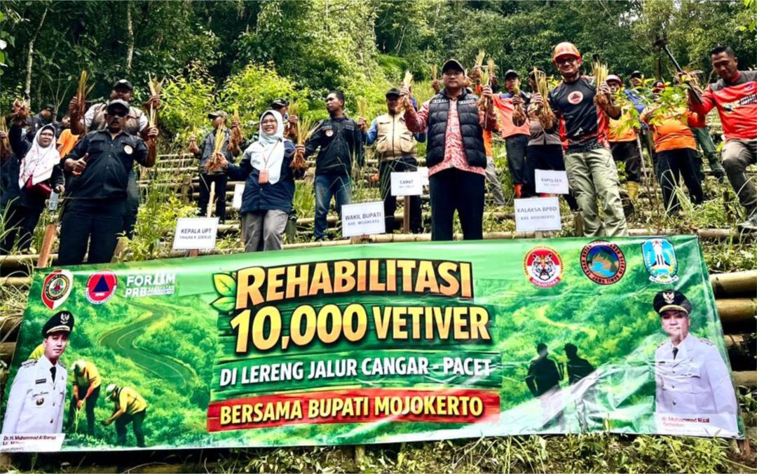 Antisipasi Longsor  Jalur Wisata Tahura Cangar BPBD Kab. Mojokerto Tanam 10.000 Bibit Vetiver 