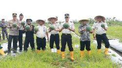 Wabup Banyuwangi dan Kalapas Se Jatim Panen Raya Semangka di Lapas