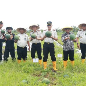 Wabup Banyuwangi dan Kalapas Se Jatim Panen Raya Semangka di Lapas