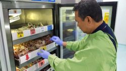 Ramadan 1447 H, PMI Jember Buka Donor Malam Hari dan Bagikan Tumbler