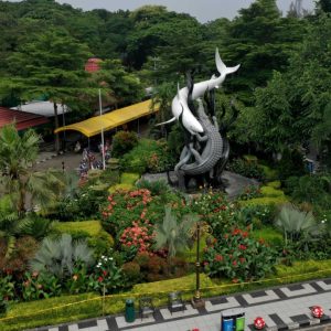 Pengunjung KBS Tembus 2,1 Juta, PDTS Siapkan Restocking Komodo ke Habitat Asli