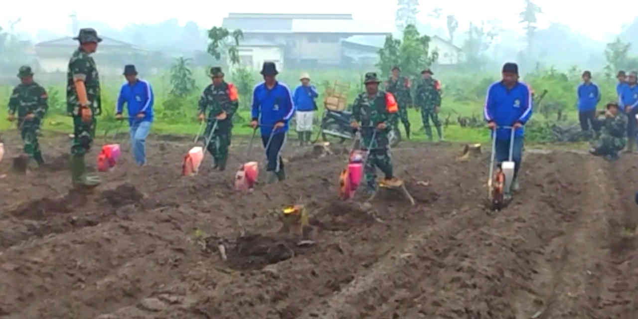 TMMD ke-127 Tanam Jagung di Gadungan, Perkuat Ketahanan Pangan Desa