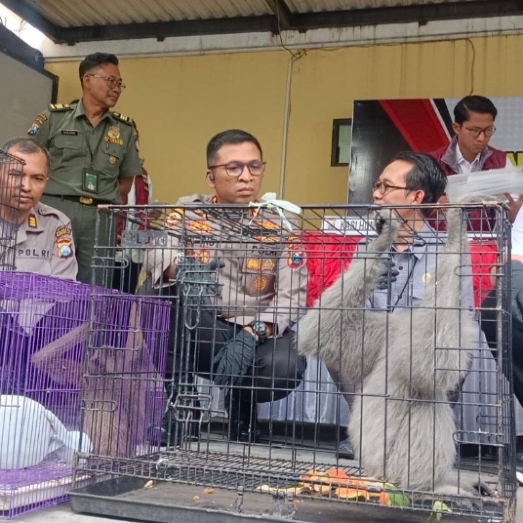 Jaringan Perdagangan Satwa Dilindungi hingga Luar Negeri Dibongkar, Pelaku Asal Sidoarjo Ditangkap