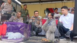 Jaringan Perdagangan Satwa Dilindungi hingga Luar Negeri Dibongkar, Pelaku Asal Sidoarjo Ditangkap