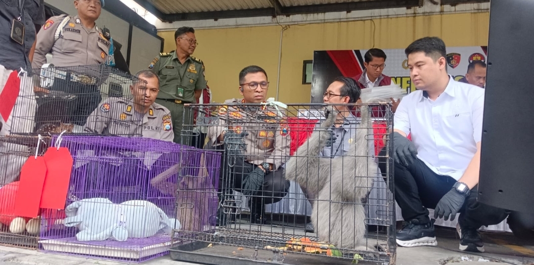 Jaringan Perdagangan Satwa Dilindungi hingga Luar Negeri Dibongkar, Pelaku Asal Sidoarjo Ditangkap