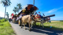 Festival Pegon dan Tiket Murah, Watu Ulo–Papuma Diserbu Wisatawan