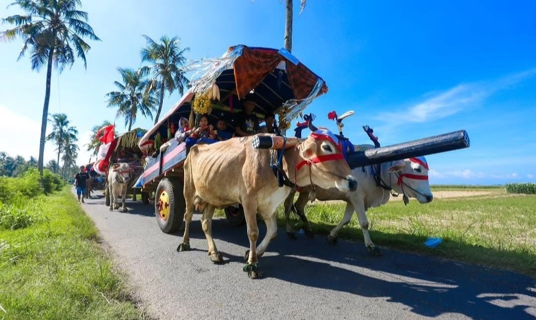 Festival Pegon dan Tiket Murah, Watu Ulo–Papuma Diserbu Wisatawan