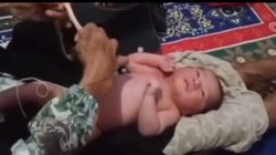 Bayi Malang di Buang di Pinggir Jalan Desa Patemon Jember