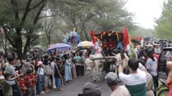 Lebaran Ketupat Puluhan Pegon Kepung Pantai Watu Ulo,Ada Apa ?
