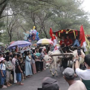 Lebaran Ketupat Puluhan Pegon Kepung Pantai Watu Ulo,Ada Apa ?