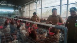 Perkuat Ketahanan Pangan, Subandi Tekankan Seluruh Desa Bijak Dalam Menggunakan Dana Bumdes