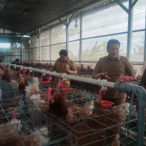 Perkuat Ketahanan Pangan, Subandi Tekankan Seluruh Desa Bijak Dalam Menggunakan Dana Bumdes