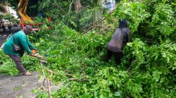 Cuaca Ekstrem Landa Surabaya, Pemkot Siagakan Tujuh Rayon Tangani Pohon Tumbang